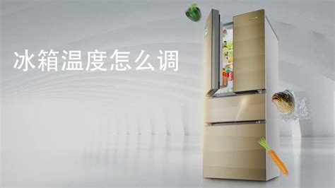雙門冰柜怎么調(diào)溫度圖解(雙門冰柜怎么調(diào)溫度圖解視頻)縮略圖