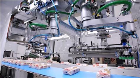 食品加工機械與設備(食品加工機械與設備有哪些)縮略圖
