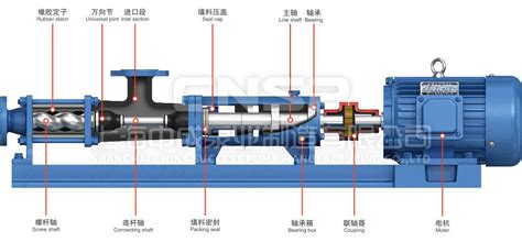 單螺桿泵工作原理,單螺桿泵工作原理圖動畫縮略圖