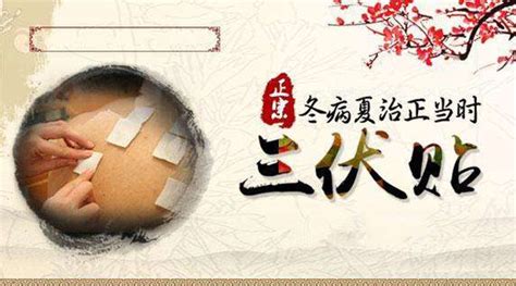 三伏貼是什么,三伏貼是什么意思縮略圖