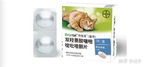 拜寵清驅蟲藥幾個月吃一次(拜耳驅蟲藥和拜寵清哪個好)縮略圖