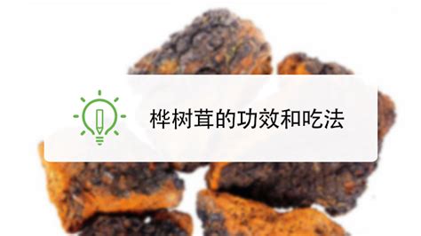 樺樹茸茶怎么沖泡,樺樹茸茶怎么沖泡最好縮略圖