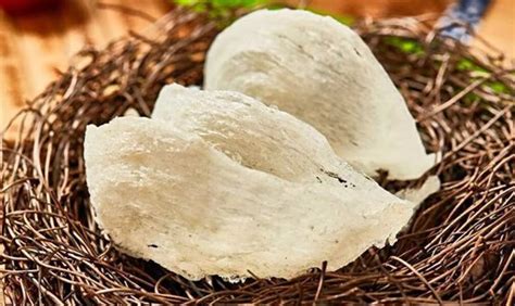 燕窩果是哪里的特產(燕窩果是哪里的特產水果)縮略圖