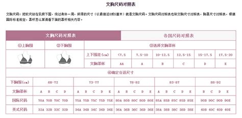 文胸尺碼對(duì)照表,文胸尺碼對(duì)照表標(biāo)準(zhǔn)版中國縮略圖