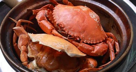 黃油蟹多少錢一斤2022(黃油蟹多少錢一斤)縮略圖