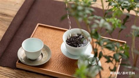 水仙茶的特點和特征(水仙茶的口感特征)縮略圖