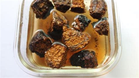 樺樹茸正確泡水喝方法(樺樹茸正確泡水喝方法視頻)縮略圖