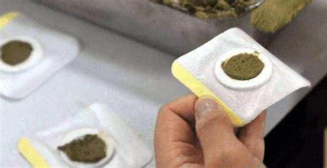 三伏貼有什么功效,三伏貼有什么功效和作用縮略圖