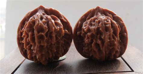 文玩核桃官帽,文玩核桃官帽品種圖鑒大全縮略圖