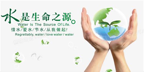 生命之源是什么,生命之源是什么器官縮略圖