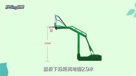 籃板高度,籃板高度是多少縮略圖