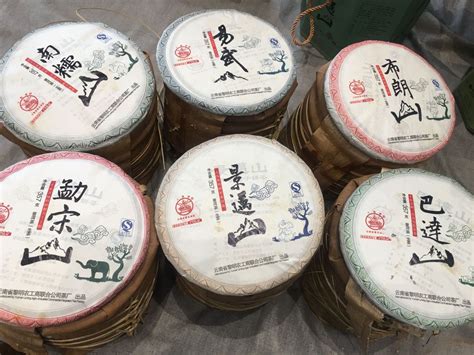 普洱生茶怎么區(qū)分好壞(普洱生茶怎么區(qū)分好壞的)縮略圖