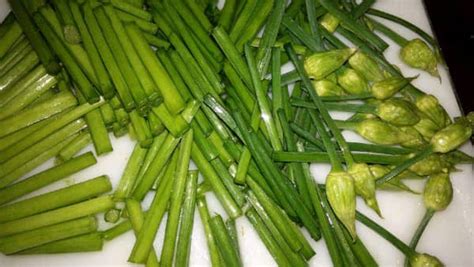 韭菜花的功效作用與營養(yǎng)價值,韭菜花的功效作用與營養(yǎng)價值及禁忌縮略圖