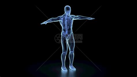 人體模型怪談(人體模型怪談在線)縮略圖