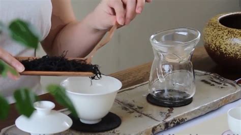 福鼎白茶的正確沖泡方法,福鼎白茶的正確沖泡方法視頻縮略圖