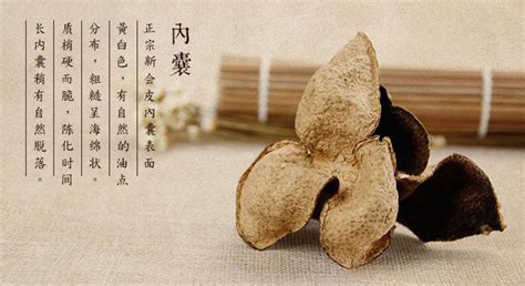 新會陳皮功效與作用,新會陳皮功效與作用及禁忌縮略圖
