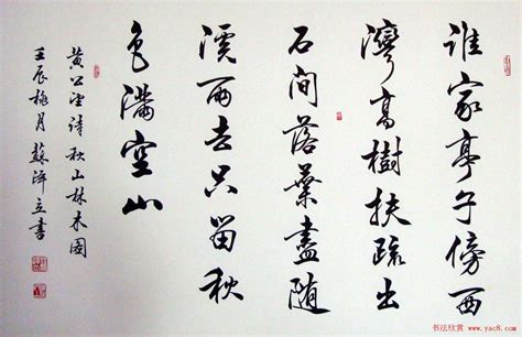 毛筆書法欣賞,毛筆書法欣賞視頻入門縮略圖