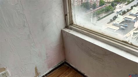 窗臺(tái)滲水最簡單的處理方法(外墻滲水到內(nèi)墻如何從內(nèi)墻補(bǔ)救)縮略圖