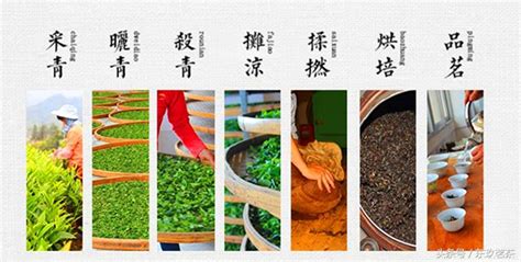 漳平水仙價格(漳平水仙價格為什么這么便宜)縮略圖