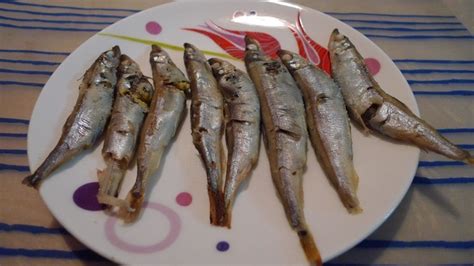 多春魚的做法及怎么清洗內臟(多春魚的做法及怎么清洗內臟視頻)縮略圖
