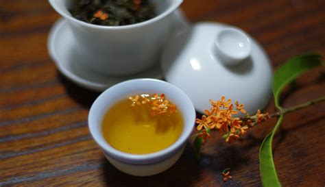 桂花茶養(yǎng)胃還是傷胃(桂花茶養(yǎng)胃還是傷胃的)縮略圖