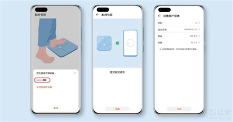 體重秤怎么連接手機(jī)測(cè)體脂,智能體重秤怎么測(cè)體脂縮略圖