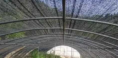 遮陽(yáng)網(wǎng)哪種遮陽(yáng)和隔熱的效果最好(哪種遮陽(yáng)網(wǎng)遮陽(yáng)效果最好)縮略圖