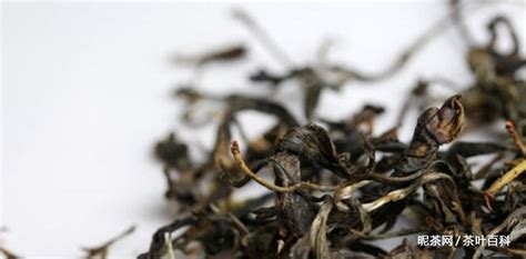 古樹茶屬于什么茶,昔歸古樹茶屬于什么茶縮略圖