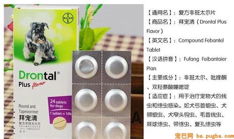 拜寵清多少錢一盒,拜寵清多少錢一粒縮略圖