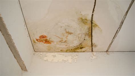插排進(jìn)水了晾干后還能用嗎,公牛插排進(jìn)水了晾干后還能用嗎縮略圖