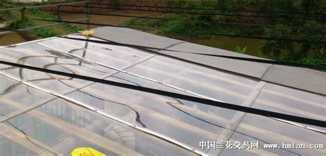 遮陽(yáng)網(wǎng)的正確搭建方法(遮陽(yáng)網(wǎng)的正確搭建方法視頻)縮略圖