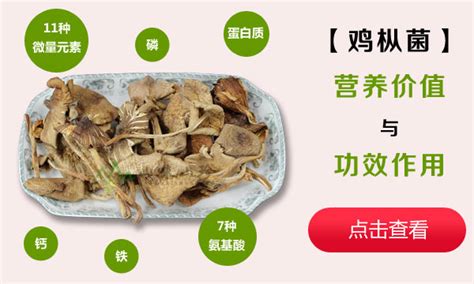 雞樅菌讀cong還是zong,雞樅菌讀cong還是zong 視頻縮略圖