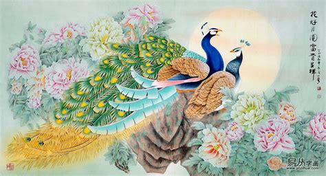 國畫牡丹孔雀圖片,國畫牡丹孔雀圖片大全大圖縮略圖