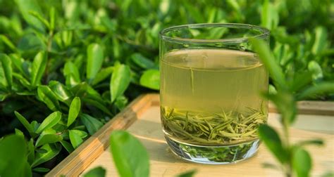 碧螺春茶葉的產(chǎn)地,碧螺春茶葉的產(chǎn)地是哪縮略圖