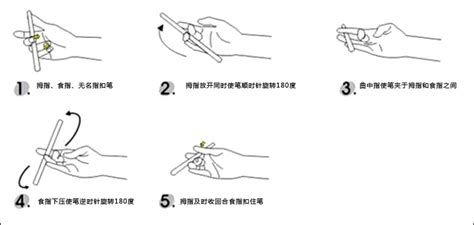 轉筆教學新手入門,轉筆教學新手入門小學生普通筆縮略圖