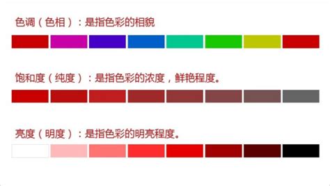 分析純和化學純的區別(分析純和化學純的區別的標簽)縮略圖