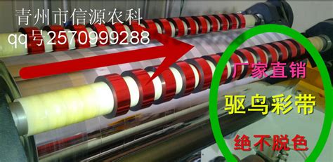 彩帶驅(qū)鳥(niǎo)效果怎么樣(驅(qū)鳥(niǎo)彩帶什么顏色效果好)縮略圖
