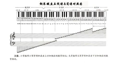 鋼琴鍵盤簡譜對照表(鋼琴鍵盤簡譜對照表數字)縮略圖