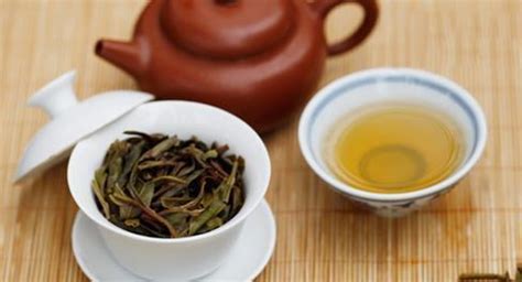 普洱生茶和熟茶哪個(gè)對(duì)身體好,普洱生茶和熟茶哪個(gè)對(duì)身體好些縮略圖