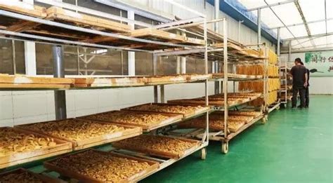 豆制品加工最新技術,豆制品加工最新技術有哪些縮略圖