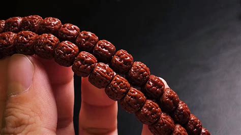 金剛菩提價(jià)格表(金剛菩提價(jià)格表成品)縮略圖