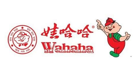 哇哈哈原唱,娃哈哈原唱完整版縮略圖