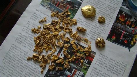 沙金和黃金有何區(qū)別(沙金和黃金有何區(qū)別圖)縮略圖