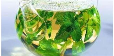 回春草泡酒的正確做法(回春草泡酒的正確做法和用量)縮略圖
