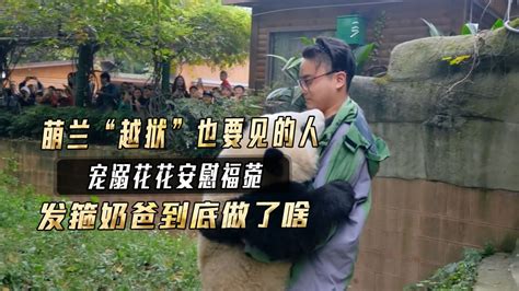 發(fā)箍奶爸和萌蘭后來見過嗎(發(fā)箍奶爸去北京偷偷看萌蘭)縮略圖