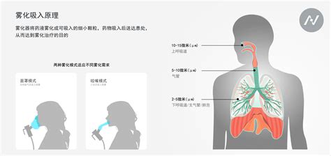 霧化器的正確使用步驟(霧化器的正確使用步驟視頻)縮略圖