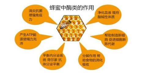 蜂巢蜜泡酒的功效與作用(蜂巢蜜泡酒功效與作用)縮略圖