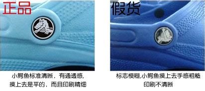 卡洛馳和卡駱馳區(qū)別(卡洛馳和卡駱馳區(qū)別大嗎)縮略圖