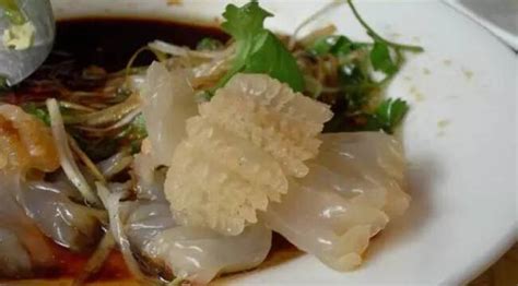 海蜇頭是什么東西(海蜇頭是什么東西做的)縮略圖