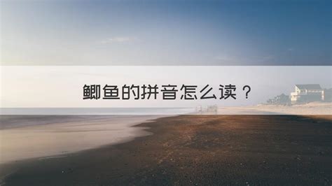 好多魚(yú)的拼音怎么寫(xiě)(好多魚(yú)的拼音怎么寫(xiě)的)縮略圖
